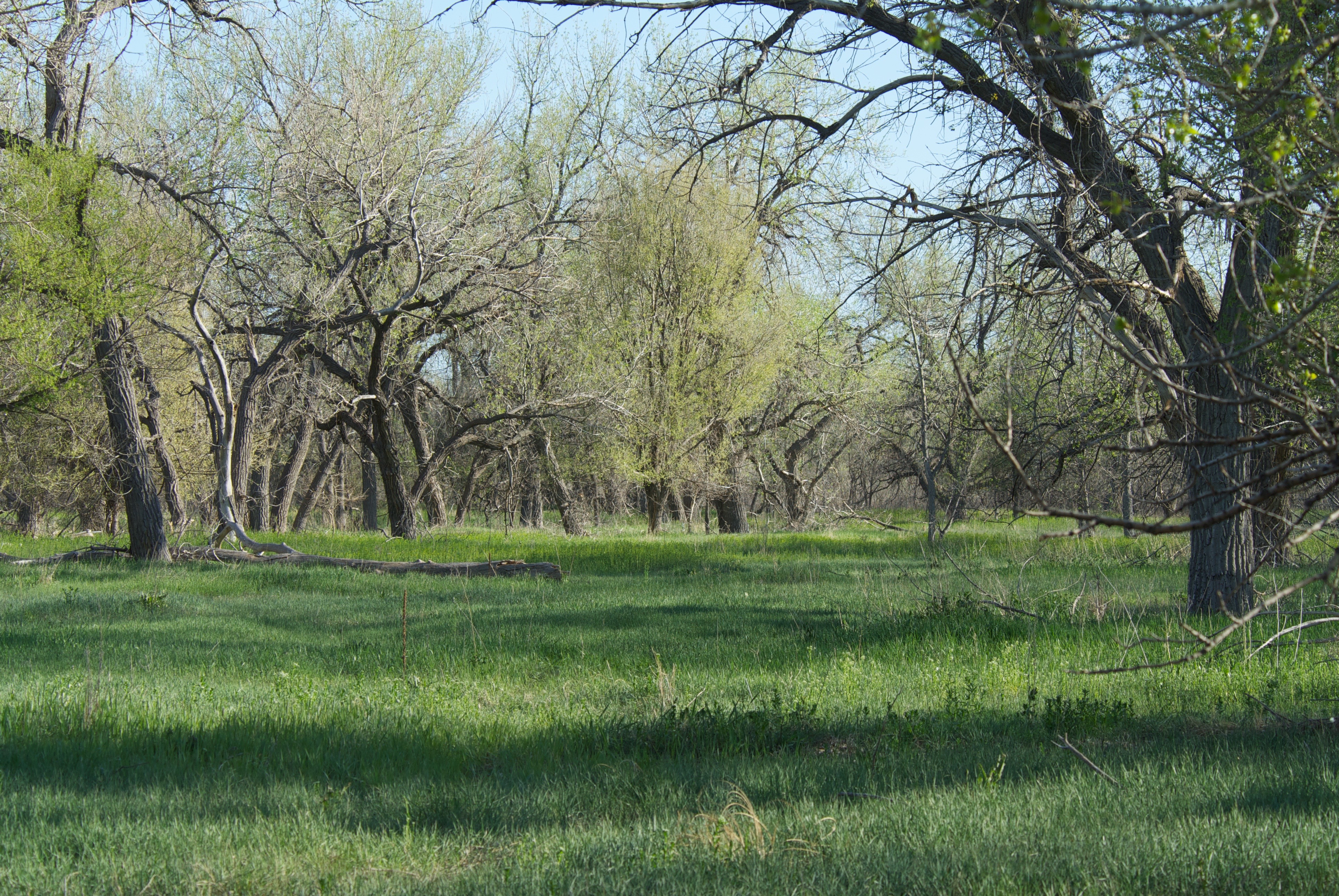 South Platte near Sterling