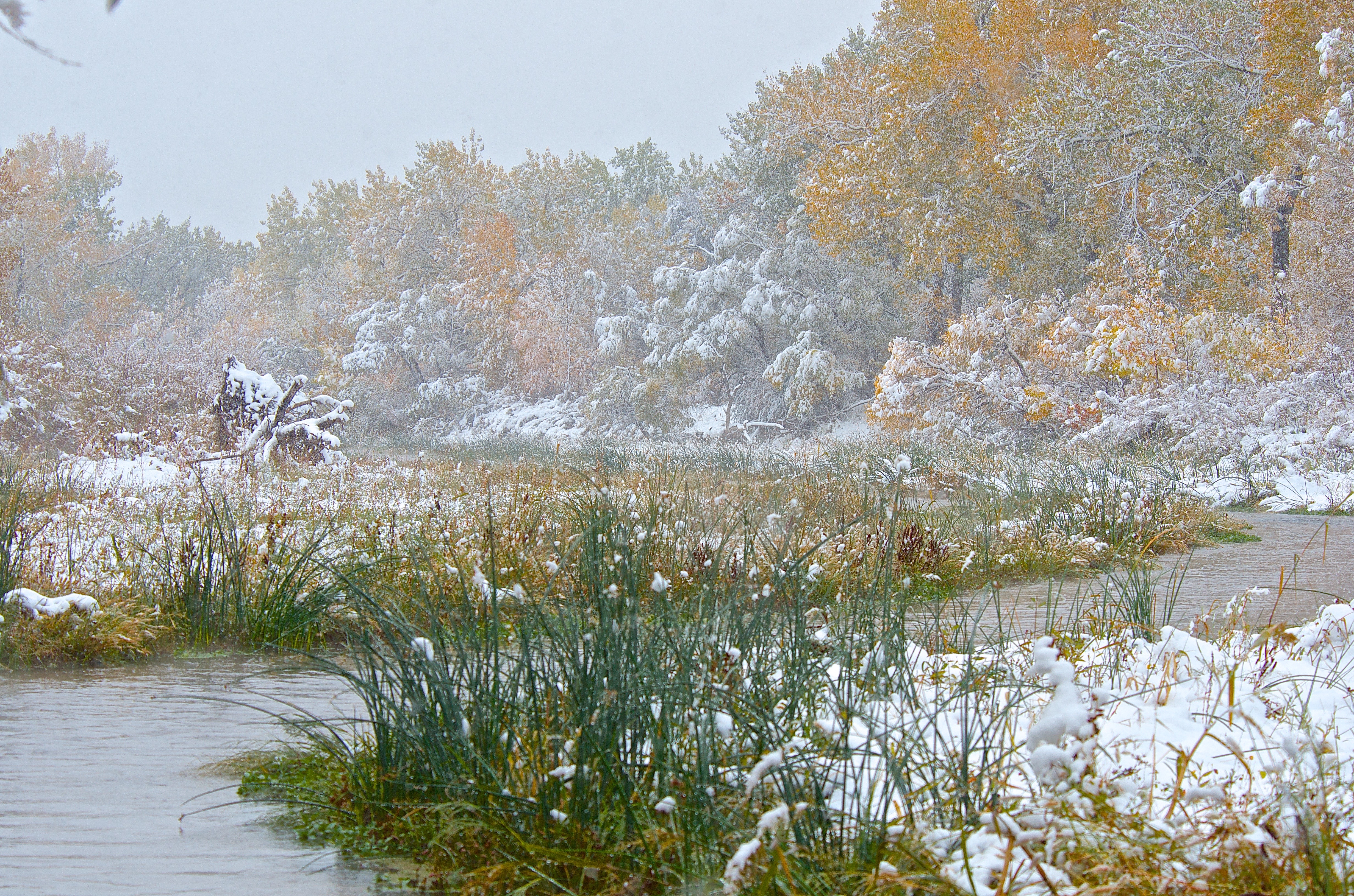 Snow at Bravo SWA (Up stream) (10-6-12)