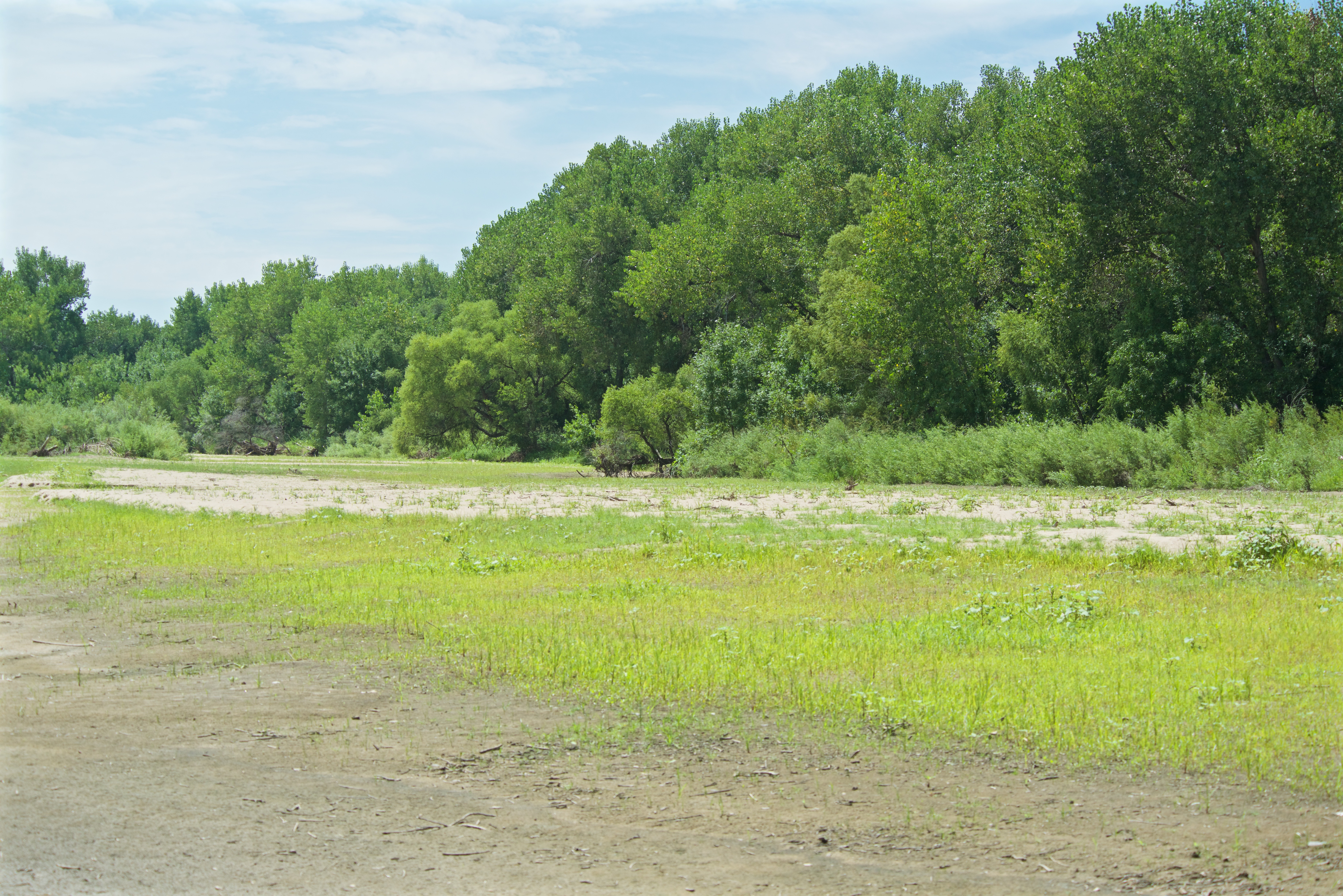 Channel at Bravo now High and Dry (8-8-15) (same as 10-6-12 shot)