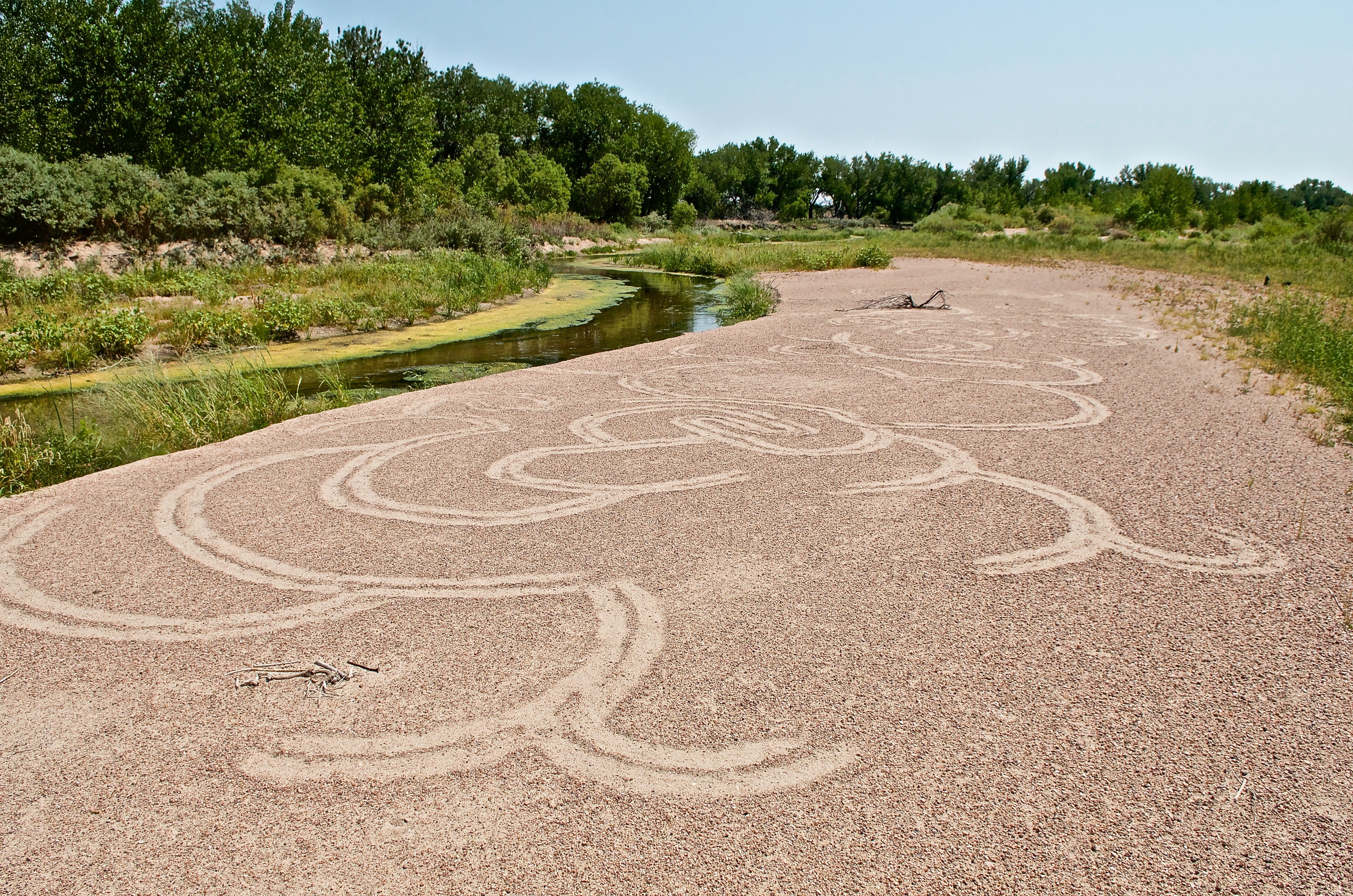 Sand Drawing Circles at Bravo